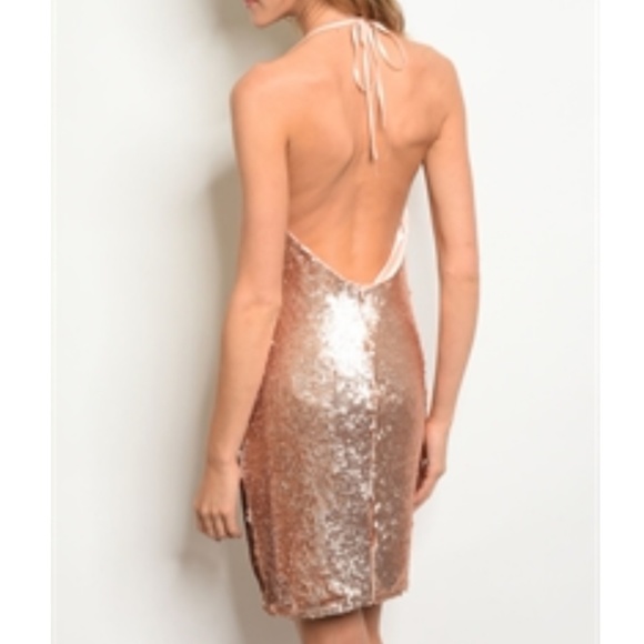 Rose Gold Dress - Picture 8 of 8